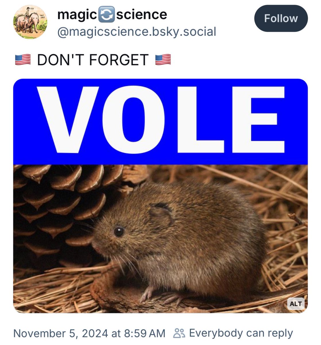 Goonlighting tweet media