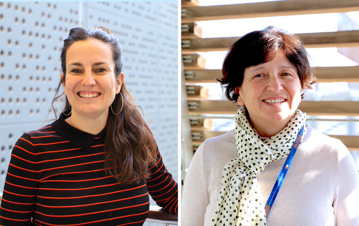 Josep Carreras Leukaemia Research Institute (IJC) (@carrerasijc) on Twitter photo 🚨Our Researchers receive 2⃣ERC Synergy Grants <a href="/ERC_Research/">European Research Council (ERC)</a> 🥳
➡️ <a href="/MarionaGraupera/">GrauperaLab</a> coordinates #BEMOSAIC, to better understand endothelial cell's behaviour
➡️ <a href="/BigSpinLab/">Bigas/Espinosa Lab</a> <a href="/HMar_research/">HMar Research Institute</a> coordinates #MakingBlood, to produce haematopoietic stem cells in vitro 🚨Our Researchers receive 2⃣ERC Synergy Grants <a href="/ERC_Research/">European Research Council (ERC)</a> 🥳
➡️ <a href="/MarionaGraupera/">GrauperaLab</a> coordinates #BEMOSAIC, to better understand endothelial cell's behaviour
➡️ <a href="/BigSpinLab/">Bigas/Espinosa Lab</a> <a href="/HMar_research/">HMar Research Institute</a> coordinates #MakingBlood, to produce haematopoietic stem cells in vitro