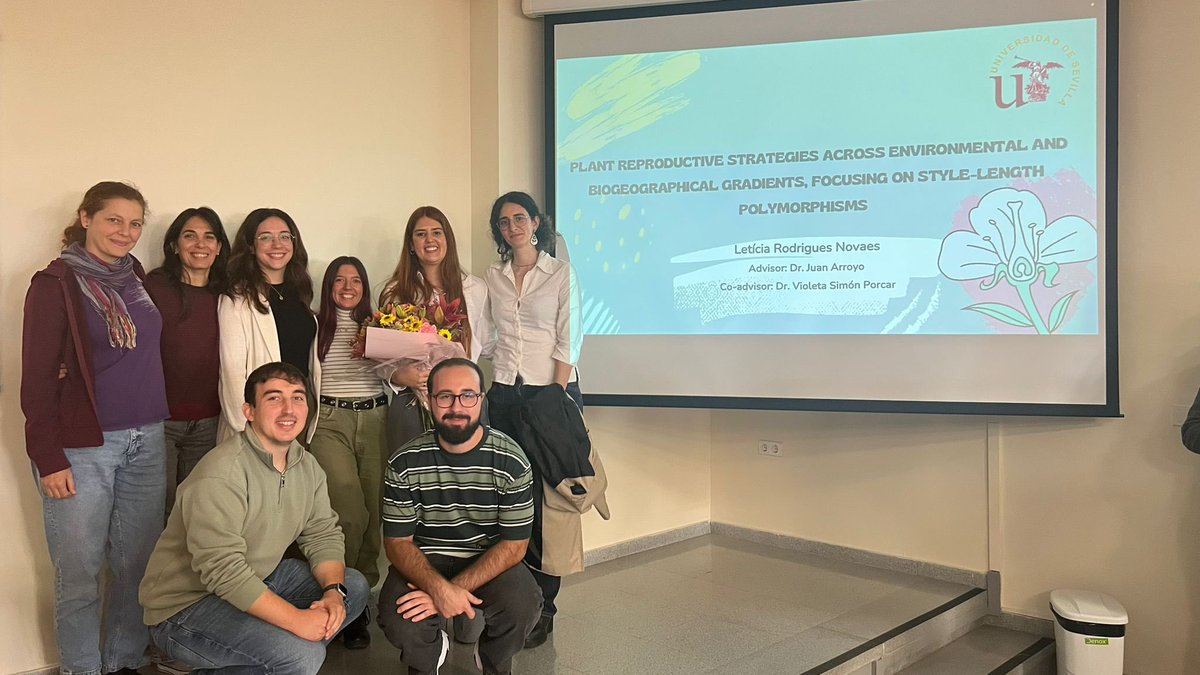 Ana Valdés-Florido (@anavaldesf) on Twitter photo Yesterday, my friend Letícia successfully defended her PhD thesis at <a href="/unisevilla/">Universidad de Sevilla</a> 🌸🐝 Congratulations!! 🎉 Yesterday, my friend Letícia successfully defended her PhD thesis at <a href="/unisevilla/">Universidad de Sevilla</a> 🌸🐝 Congratulations!! 🎉
