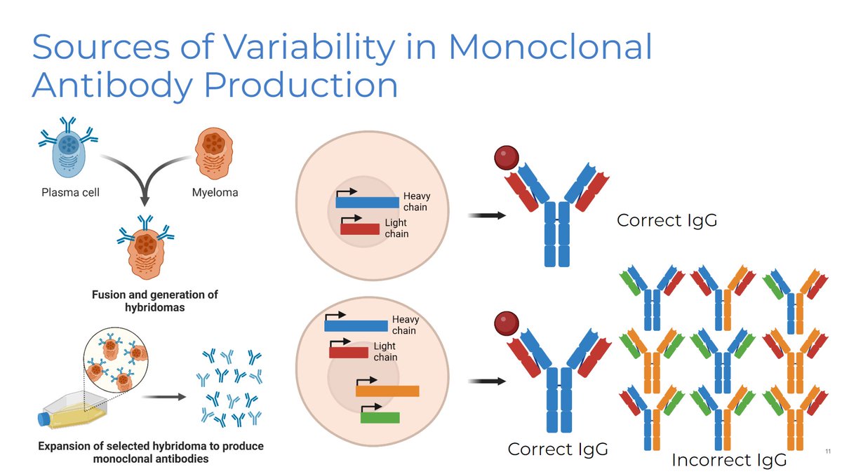 rapidnovor's tweet image. Thank you everyone for joining us in our webinar last week on Unmasking Antibody Reproducibility in Life Sciences.
In case you missed the live webinar, the recording is available on our website:
hubs.li/Q02WZXVD0
#ResearchReproducibility #ProteinSequencing
