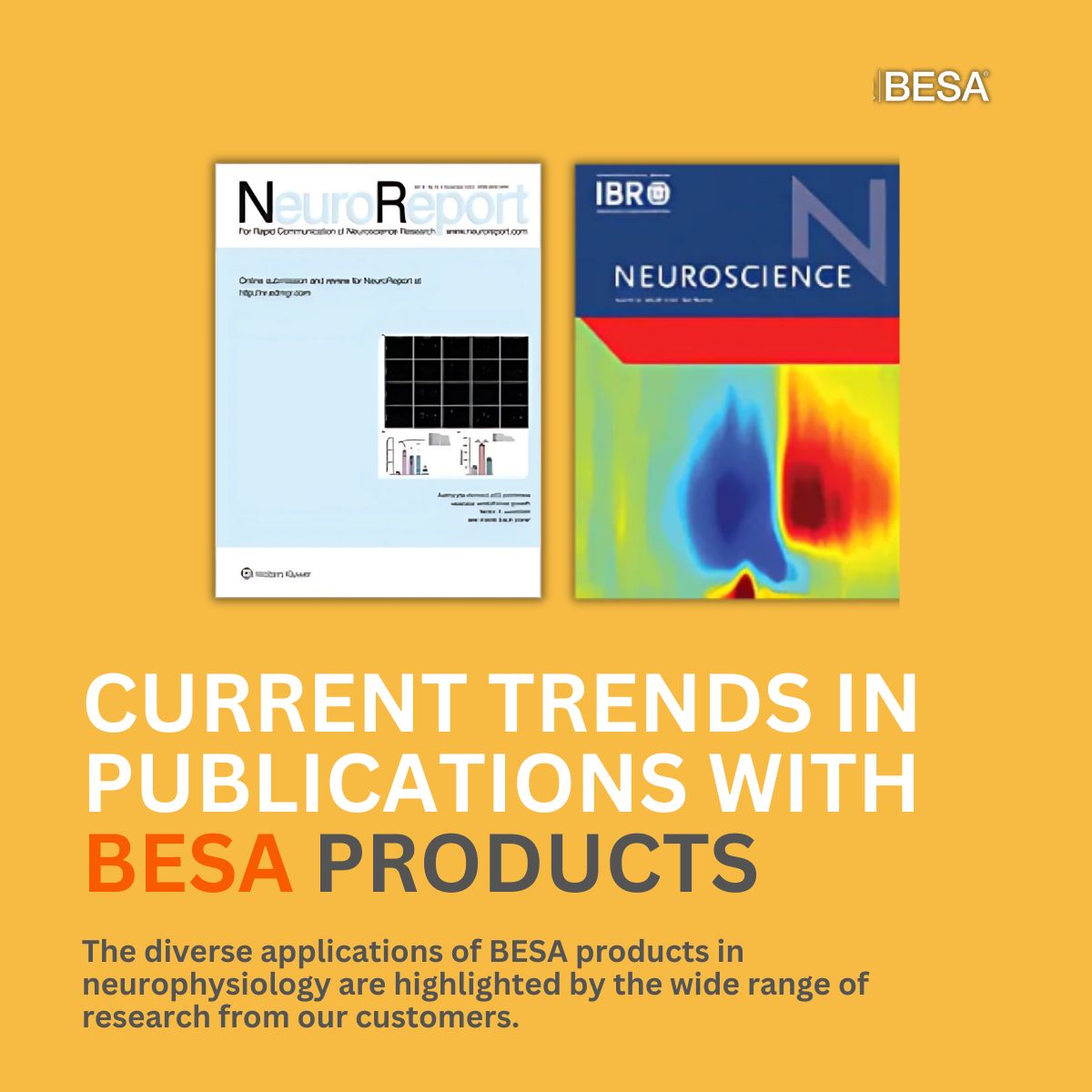 Current Trends in Publications with BESA Products! Cannabis: Schantell et al. observe gamma suppression in users. (Hum. #Brain Mapping 2024) AND
Cerebral Palsy: Busboom et al. show cognitive interference impacts motor performance. (#Neuroscience 2024)