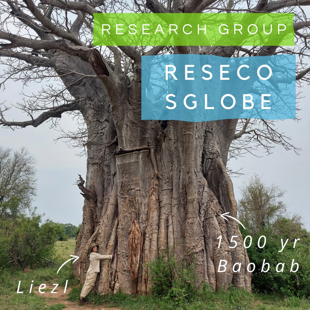 Division Forest, Nature & Landscape (@dfornatlan) on Twitter photo Each month, we shine a spotlight on one or multiple colleagues in our FNL division 🌳 and share their interesting research topics! 🔍 Today, we present the topic of <a href="/VermeulenLiezl/">Liezl Vermeulen</a> : Modelling the impact of #climatechange on southern African ecosystems using #remotesensing. Each month, we shine a spotlight on one or multiple colleagues in our FNL division 🌳 and share their interesting research topics! 🔍 Today, we present the topic of <a href="/VermeulenLiezl/">Liezl Vermeulen</a> : Modelling the impact of #climatechange on southern African ecosystems using #remotesensing.