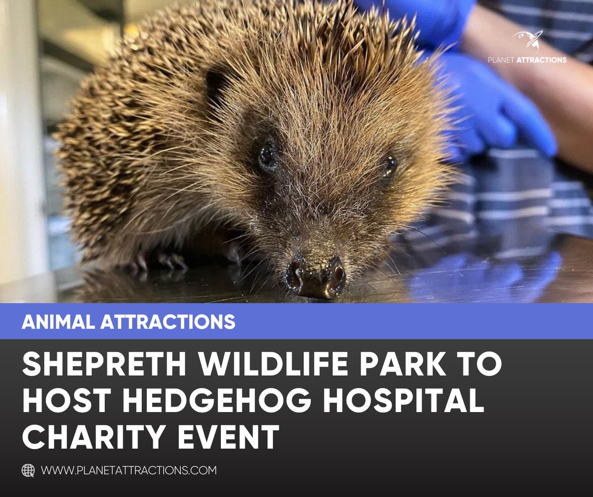 Planet Attractions (@plntattractions) on Twitter photo Shepreth Wildlife Park is set to host a special holiday charity ball, with the event raising funds for its in-demand hedgehog conservation programme. t.ly/BaOow
<a href="/SheprethWPark/">Shepreth Wildlife Park</a> | <a href="/SWCCHedgehogs/">SWCC Hedgehogs</a> | <a href="/Kings_College/">King's College, Cambridge</a> | <a href="/kingsmen/">King's Men Cambridge</a> | <a href="/Jamie_Magician/">JamieSegrave</a> | <a href="/hedgehoghugh/">Hugh Warwick</a> Shepreth Wildlife Park is set to host a special holiday charity ball, with the event raising funds for its in-demand hedgehog conservation programme. t.ly/BaOow
<a href="/SheprethWPark/">Shepreth Wildlife Park</a> | <a href="/SWCCHedgehogs/">SWCC Hedgehogs</a> | <a href="/Kings_College/">King's College, Cambridge</a> | <a href="/kingsmen/">King's Men Cambridge</a> | <a href="/Jamie_Magician/">JamieSegrave</a> | <a href="/hedgehoghugh/">Hugh Warwick</a>