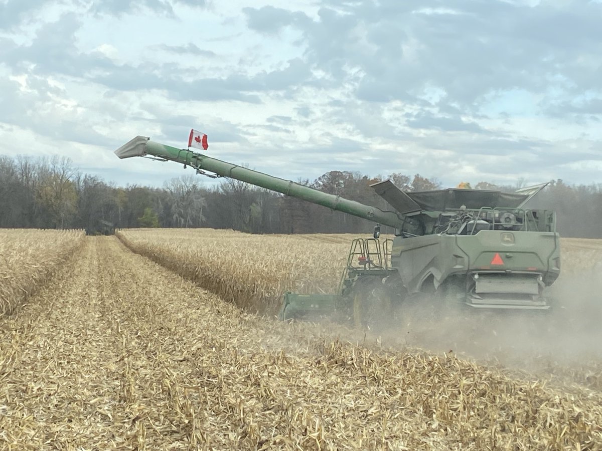 Thinking of my American friends today we fly our flag proudly too