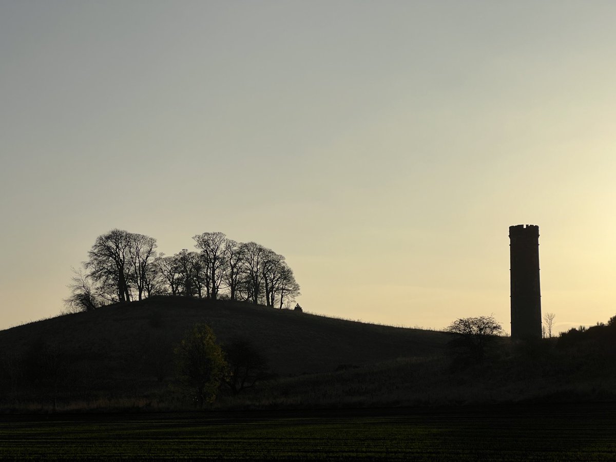 dnmnsmith's tweet image. Cammo 20241105PM #cammo #edinburgh #cyclecommuting #photography
