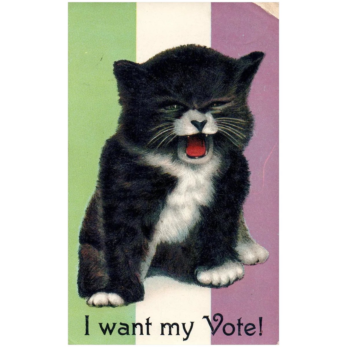 Women had to FIGHT to even be allowed to vote. Exercise your right today.