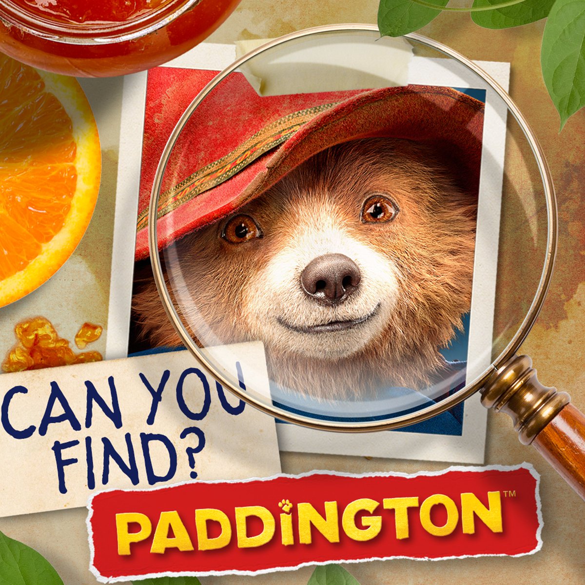 We Are Reach tweet media