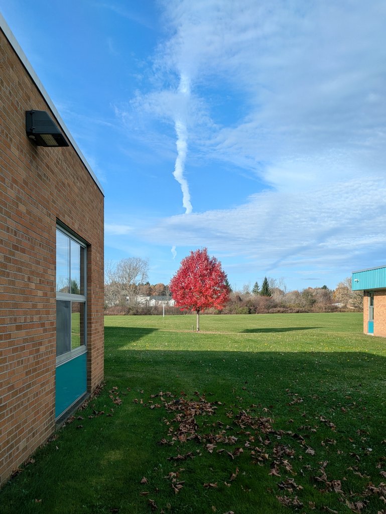 Beth Larter tweet media