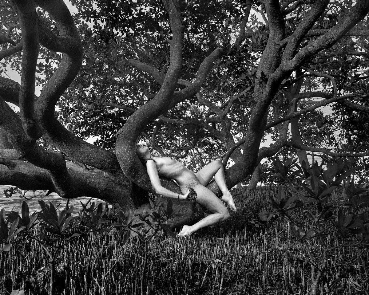 jtphotox99's tweet photo. "The reward for conformity is that everyone likes you but yourself." ~ Rita Mae Brown
#artphotography #nude #naturallight #inthewoods #inthetrees #fineartnude #ontheshore #blackandwhitefilm #nudeinnature #nudephotography #nudemodel #Sinar4X5 #listen #TriX #SavethePlanet #relaxing https://t.co/xUYL9wIl3J