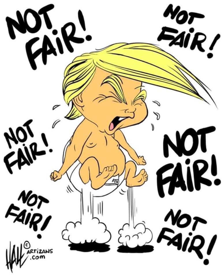 Den här bilden har jag haft i min telefon i fyra år. Hoppas den är lika aktuell om ett dygn och att det amerikanska folket tagit sitt förnuft till fånga och röstat på Harris.