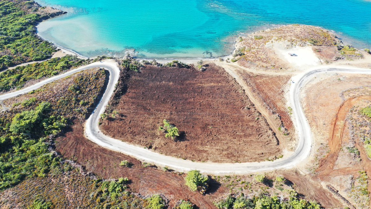 Sahn8Gokhan's tweet image. Tüm #Marmaris’ lileri 11 Kasım Milli Ağaçlandırma Gününde Geleceğe Nefes Olmaya, Mavi ile Yeşili buluşturmaya Bördübete Bekliyoruz. 🌳🌲🌳🌲

#Ogm #YeşilVatan #MilliAğaçlandırmaGünü #11Kasım #GeleceğeNefes #İnsanlığaNefes