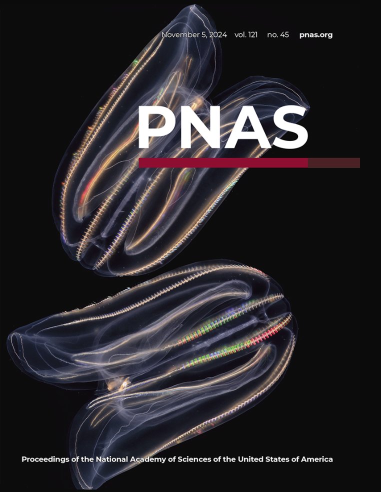 Michael Sars Centre (@msarscentre) on Twitter photo ✨The work of ctenophore aquarist and talented photographer <a href="/Alexandre4_Jan/">Alexandre Jan</a> made the cover of <a href="/PNASNews/">PNASNews</a> 🤩👏👏 Congratulations for this amazing achievement, and to authors <a href="/Pawel_Burkhardt/">Pawel Burkhardt</a> & <a href="/JoanJSoto/">Joan J. Soto-Angel</a> for their exciting #rejuvenation story! <a href="/UiB/">Universitetet i Bergen</a>
🔗tinyurl.com/3av63ama ✨The work of ctenophore aquarist and talented photographer <a href="/Alexandre4_Jan/">Alexandre Jan</a> made the cover of <a href="/PNASNews/">PNASNews</a> 🤩👏👏 Congratulations for this amazing achievement, and to authors <a href="/Pawel_Burkhardt/">Pawel Burkhardt</a> & <a href="/JoanJSoto/">Joan J. Soto-Angel</a> for their exciting #rejuvenation story! <a href="/UiB/">Universitetet i Bergen</a>
🔗tinyurl.com/3av63ama