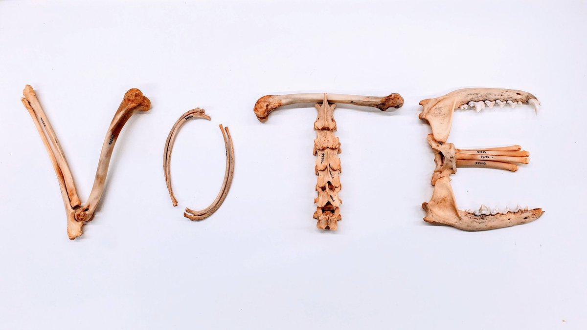 Chris Law tweet media