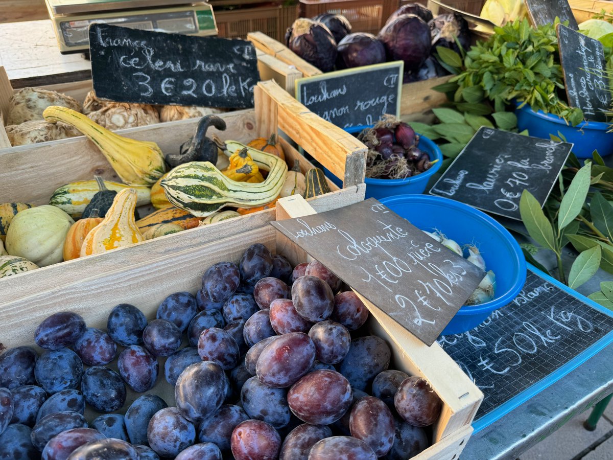 roadstraveler's tweet image. Market shopping. #beaune #france #outdoormarket #marchedebeaune #fallbounty #burgundy #bourgogne #yearineurope #TheRoadsTraveled #travel