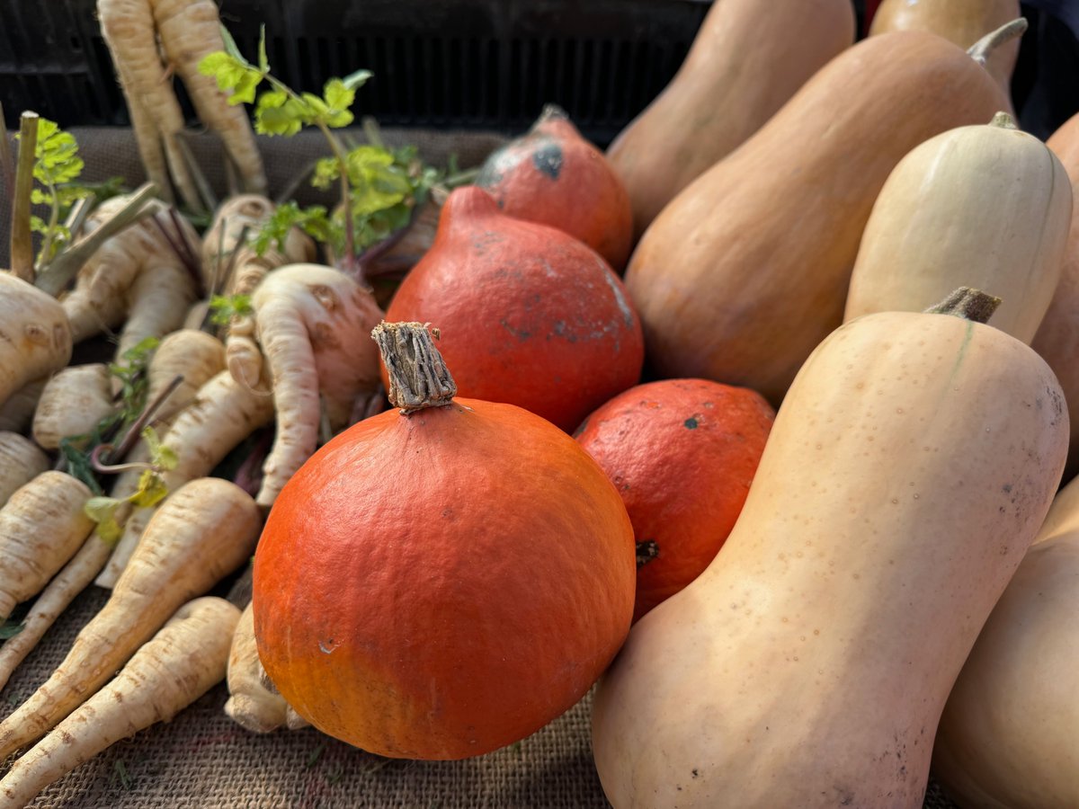roadstraveler's tweet image. Market shopping. #beaune #france #outdoormarket #marchedebeaune #fallbounty #burgundy #bourgogne #yearineurope #TheRoadsTraveled #travel