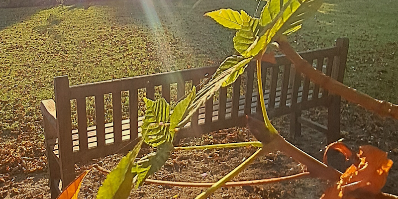 The Cambridge Interfaith Programme tweet media