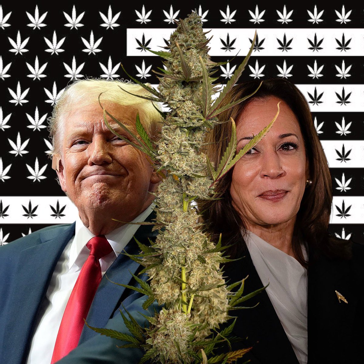 Big day today, WHO you got ?