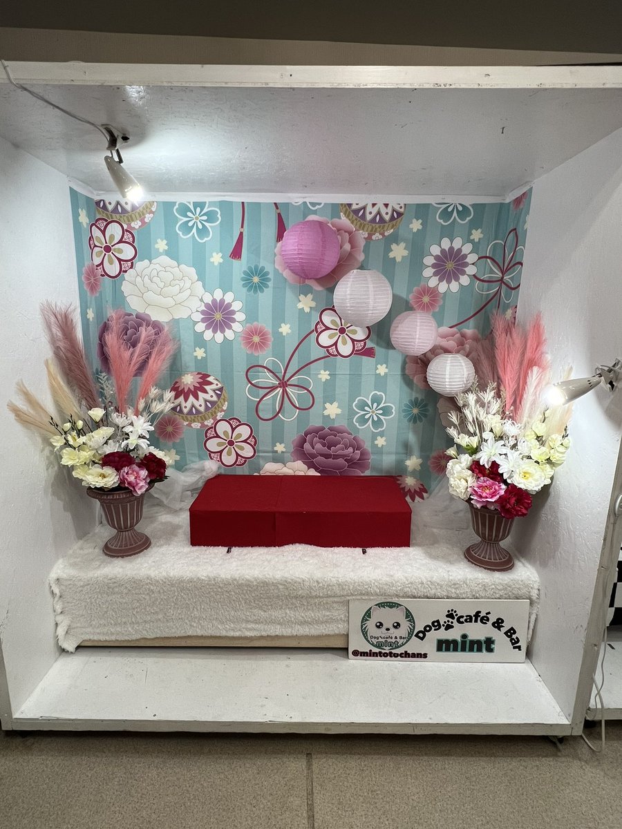 ILOVE_Chocokun's tweet photo. 皆お利口さんで可愛い😍
#mintCafe https://t.co/dbSR6QjWn4