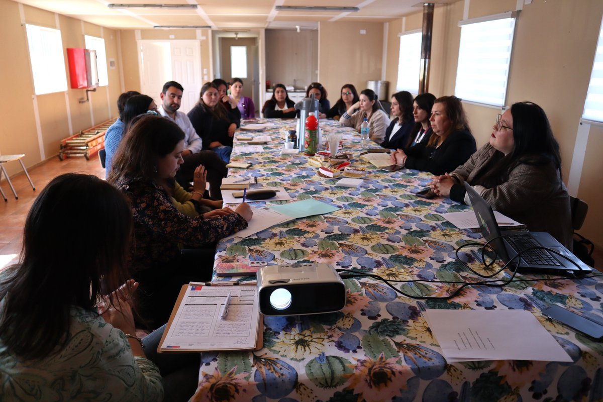 🗻En el sector Pantanosa, de #frutillar se desarrolla el programa Acción Local, que busca aumentar  capacidades socio-comunitarias en barrios vulnerables. La idea es recabar las opiniones de vecinos, niños y adultos, sobre qué aspectos les gustaría mejorar de sus barrio!🌸