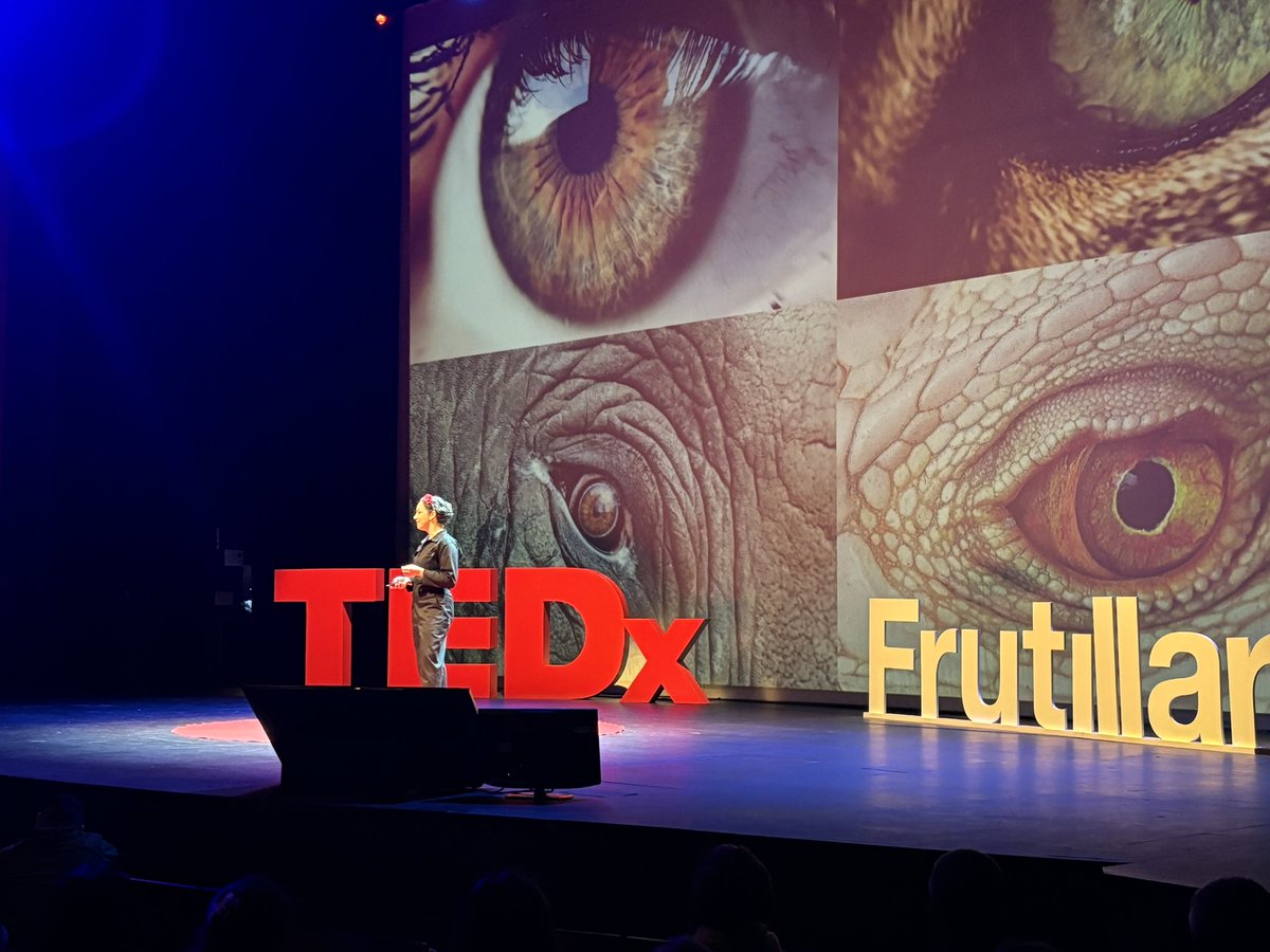 SeremieconomiaX's tweet photo. En el marco de la Semana de las MiPymes y las Cooperativas 2024, el seremi de Economía, Luis Cárdenas, participó en el inicio de ciclo de charlas de #TEDxFrutillar, un espacio de intercambio de ideas,visibilizando la Innovación y el emprendimiento desde la #RegiónDeLosLagos. https://t.co/8C7MC7NGGR