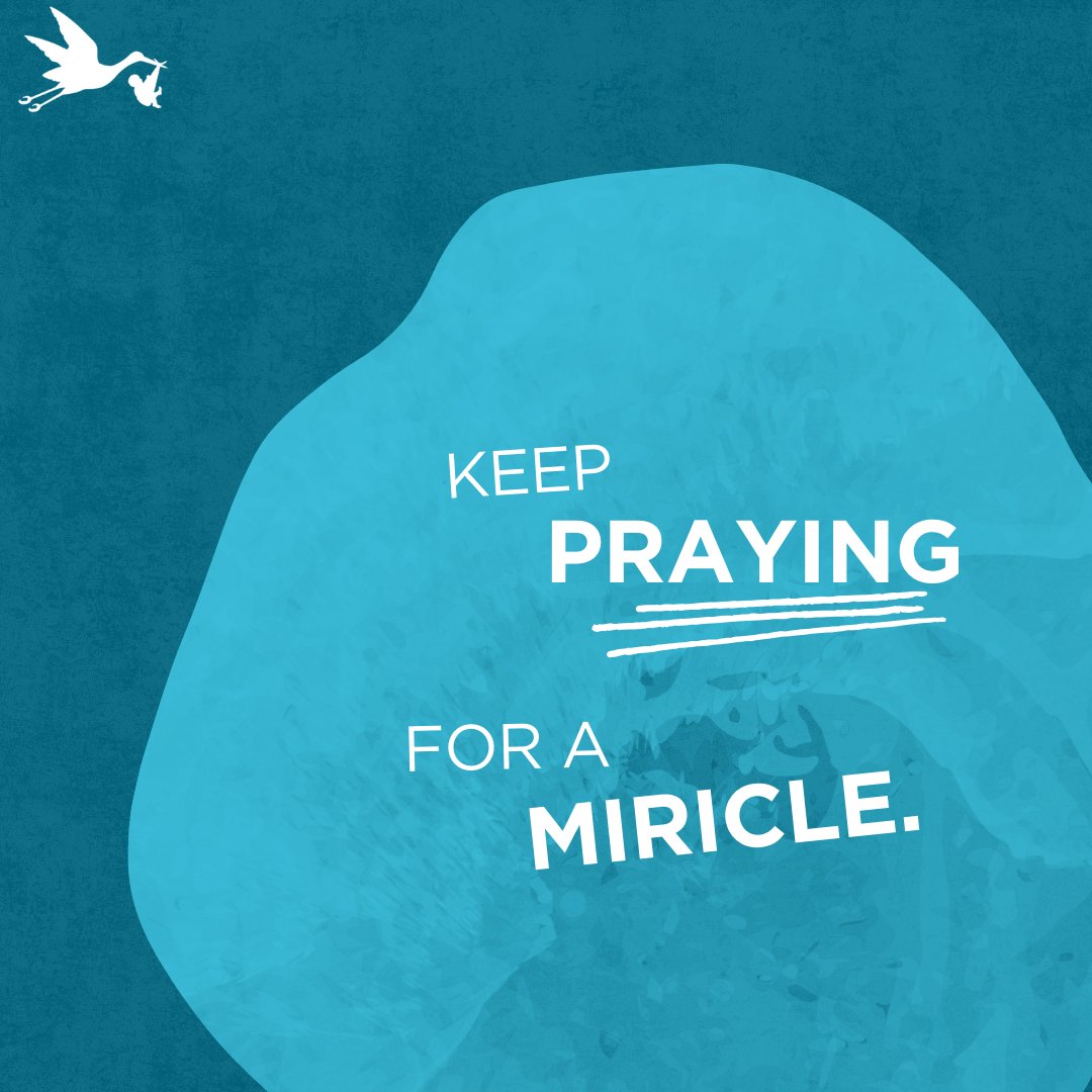savethestorks's tweet photo. Let’s pray for a miracle this election. With abortion on the ballot in 10 states, our choices matter. No matter the outcome, the Lord is in control, and life-affirming voices will prevail. Together, let’s continue the fight for every life! 🙏❤️ #ValueEveryLife https://t.co/j7xsgd1ojR