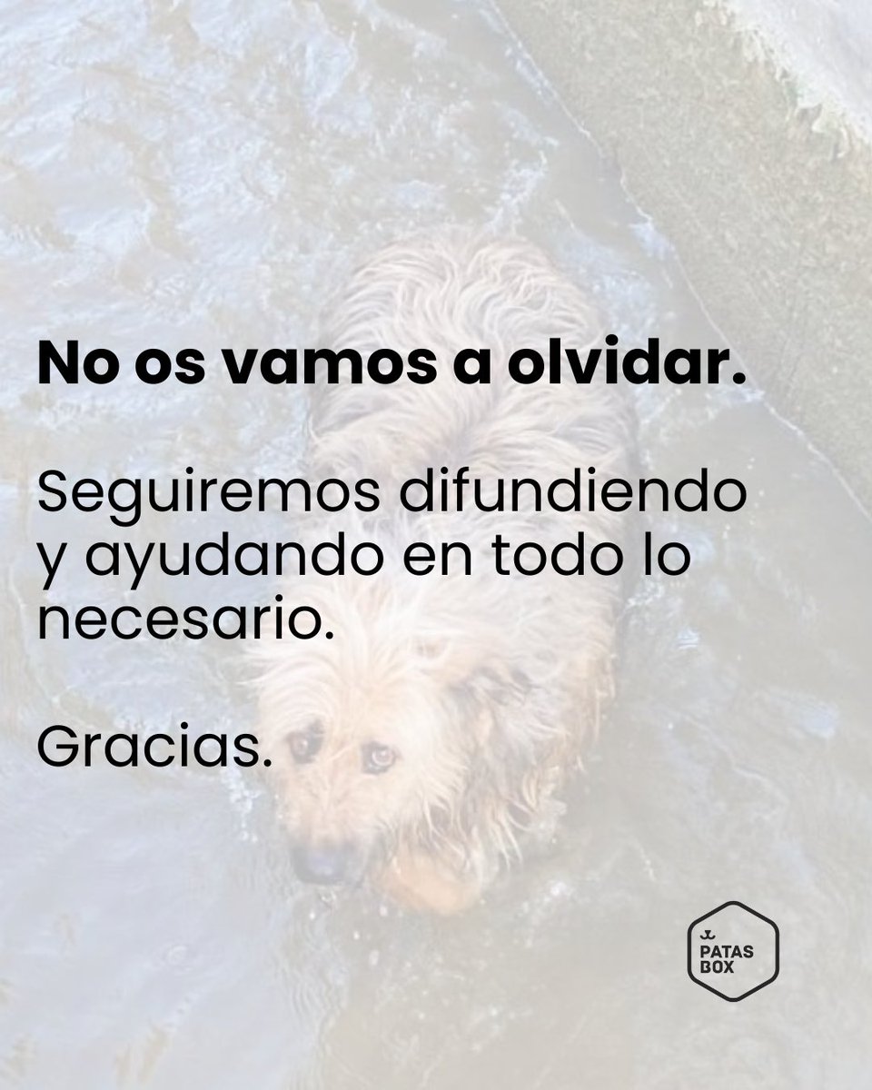 Patasbox tweet media