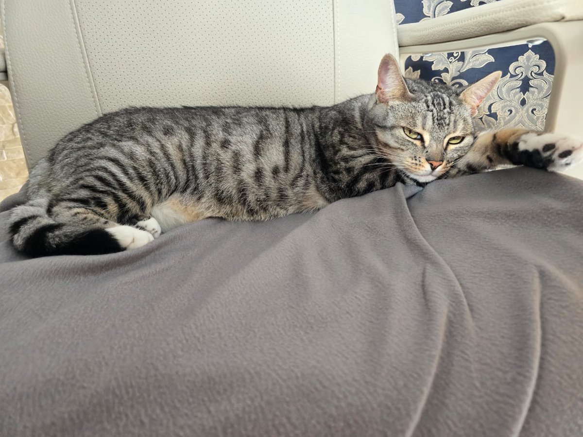 VelSandler's tweet photo. работайте, кожанные! =^.^= https://t.co/Q3eZinEzVl