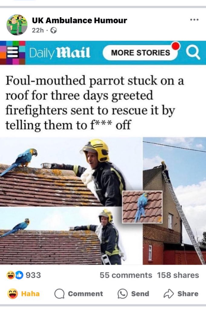 I normally give the ‘Daily Fail’ a wide berth tbh, but this popped up on my socials and tickled me 😁😁Thought I’d share.