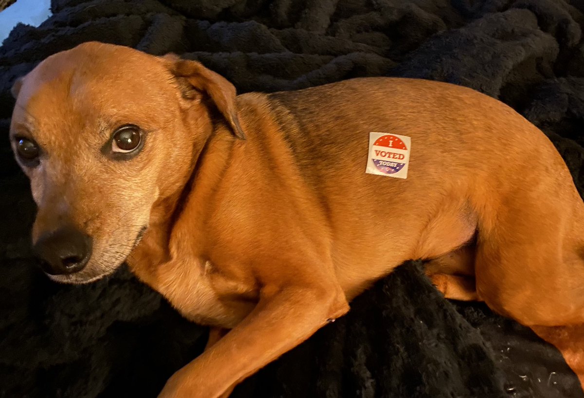 Matt Ramsey tweet media