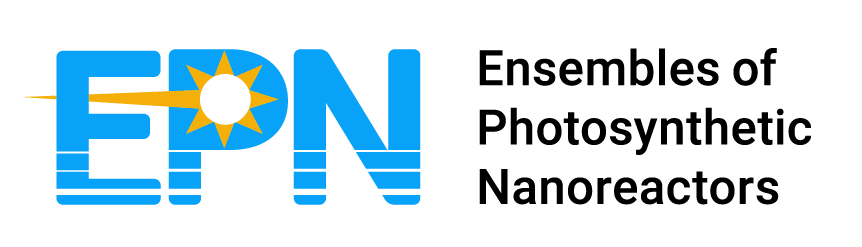 Levi Palmer tweet media