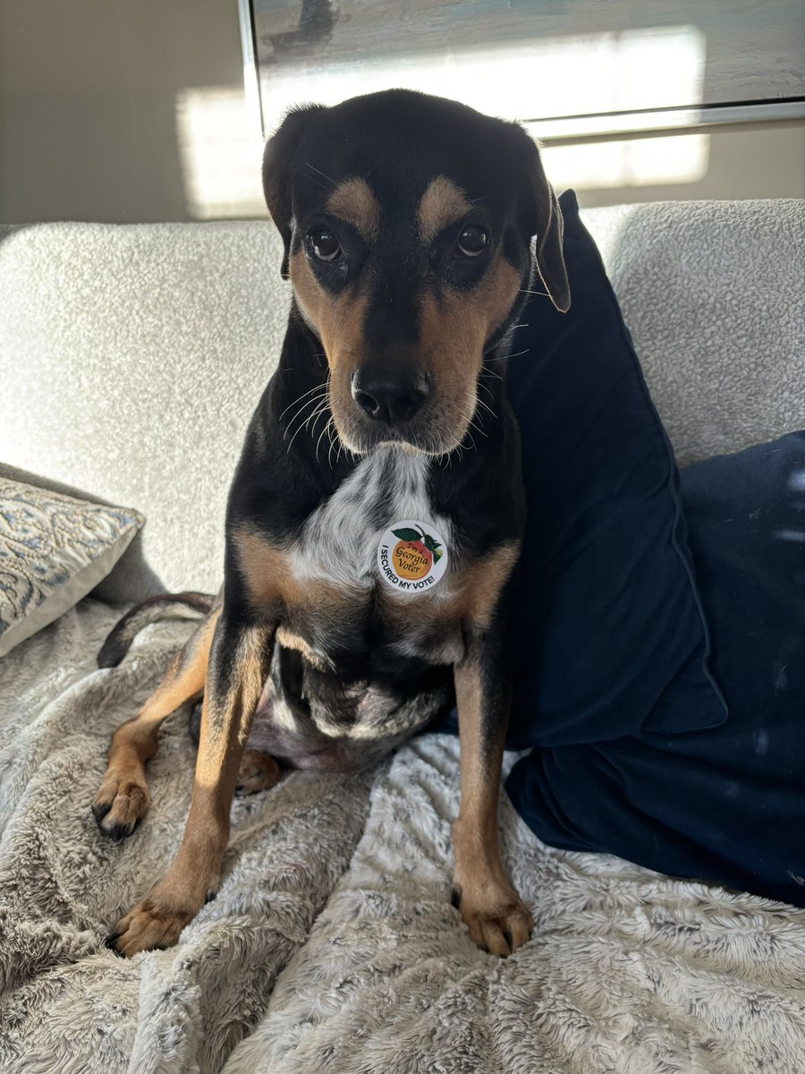 ActionDoctor9's tweet photo. @lizmiele Breezy approves. https://t.co/nRK636gajy