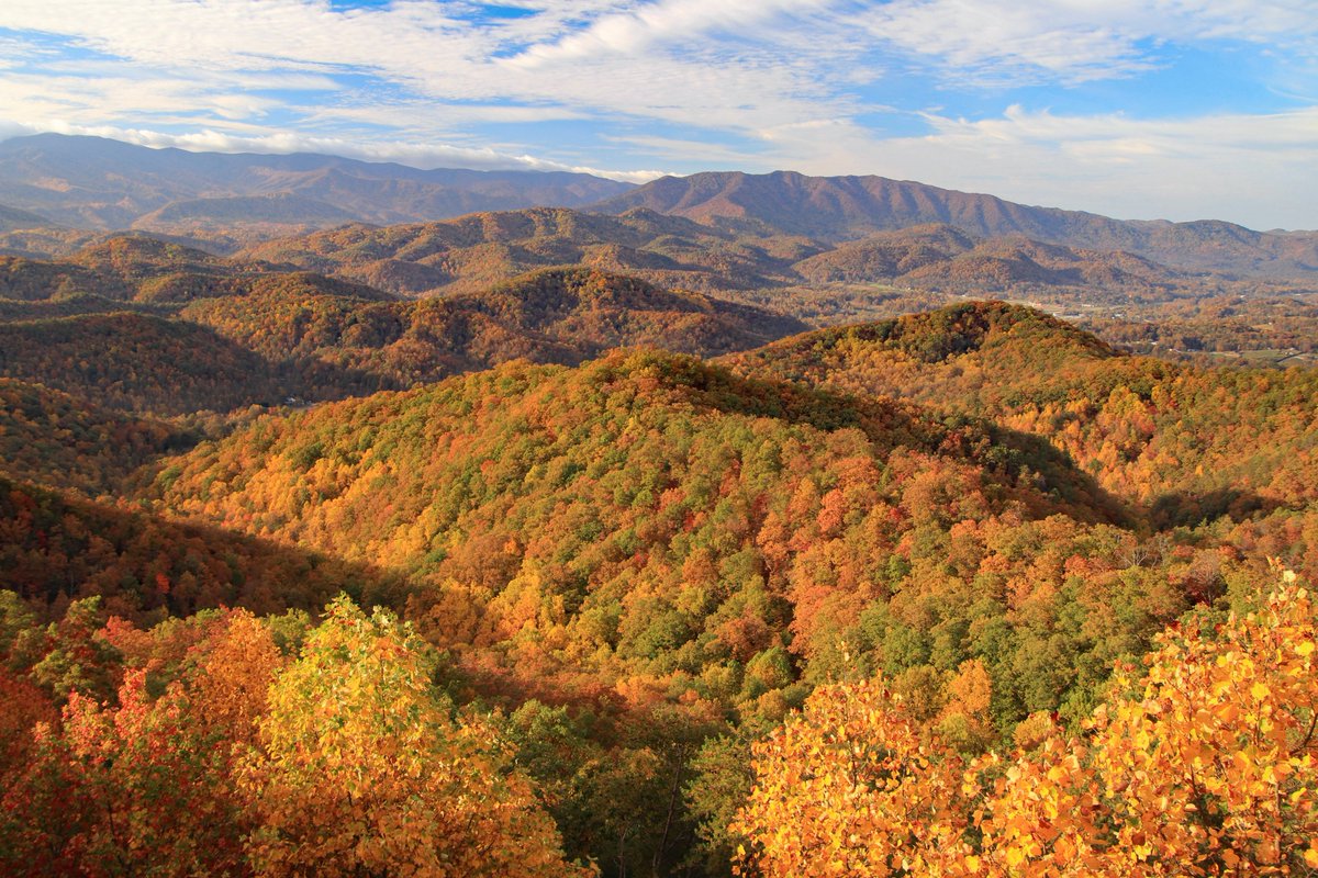 Interior's tweet image. In recognition of the contributions of our veterans, their families and caregivers, we are waiving entrance fees across the country on Monday for Veterans Day. We encourage everyone to get outside and enjoy the health benefits of spending time in nature.

Photo by Norman Lathrop