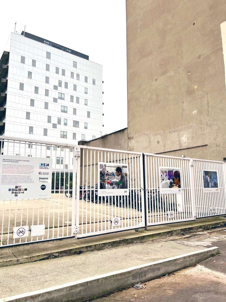 INEM NECKER tweet media