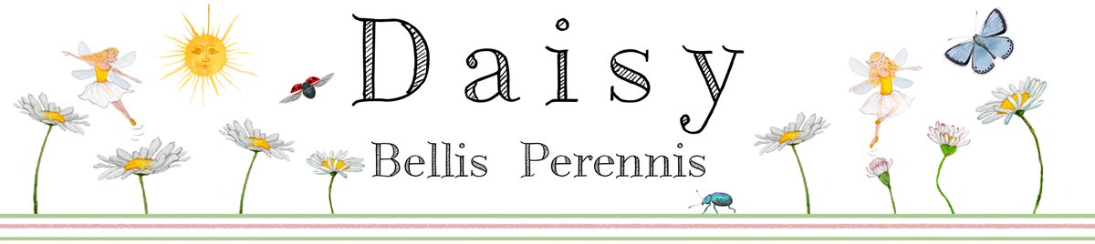 It's Tuesday, so time for a new episode of Flowerology on substack. The humble daisy today: romance, poetry and a fickle Roman god.
flowerology.substack.com/p/daisy

#daisy #bellisperennis #etymology #wildflowers #mythology #substack