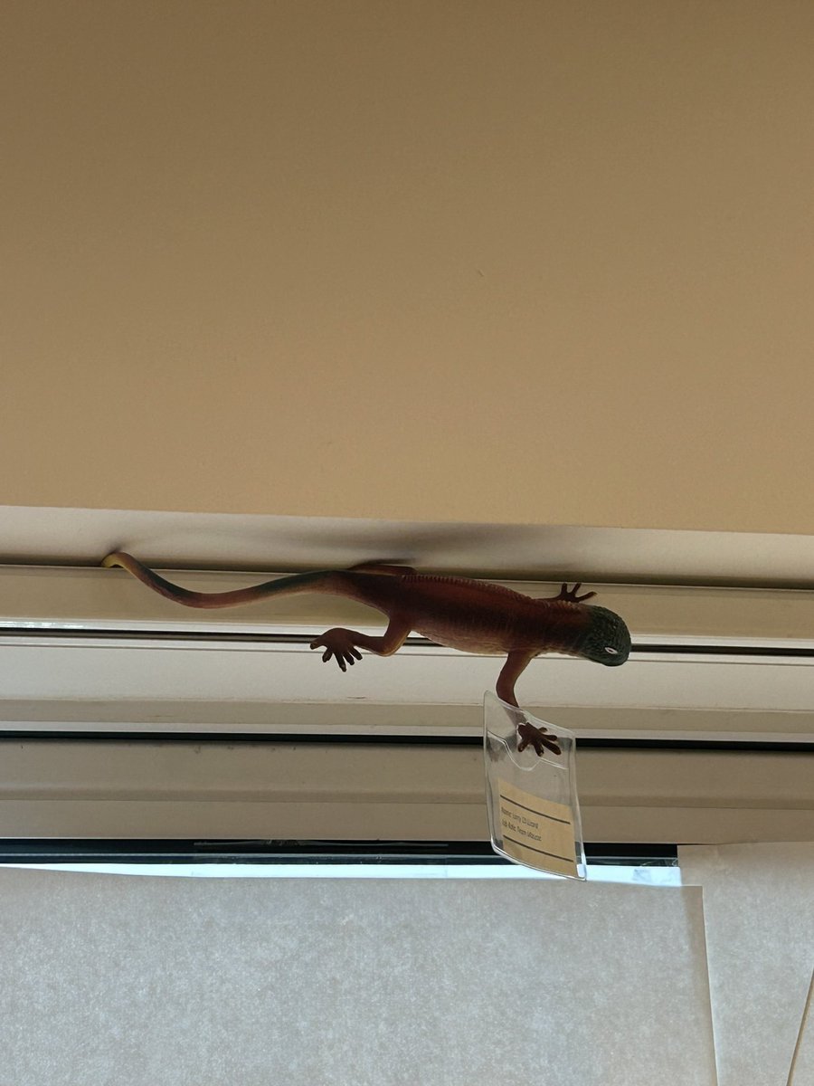 Super appreciation &amp; vision boards <a href="/Louise_b_t/">Louise Bull-Tyagi 💙</a> Finch Rd Clinic  <a href="/BWC_NHS/">BWC NHS Trust</a> Look forward to meeting ‘golden Larry’ the lizard, a way of saying thank you to a fellow team member! Staff appreciating each other is powerful recognition! Great ideas 👍🏽