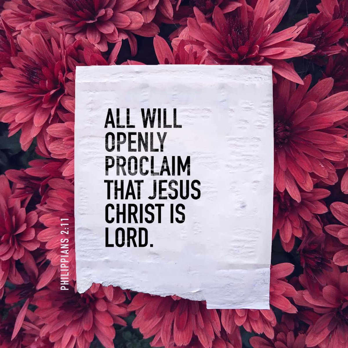 DavidKYong's tweet photo. “Therefore, #God elevated him to the place of highest honor &amp; gave him the name above all other names, that at the name of #Jesus every knee should bow, in #heaven &amp; on earth &amp; under the earth, &amp; every tongue declare that Jesus #Christ is Lord
Philippians 2:9-11 https://t.co/8D6z8YOXXH