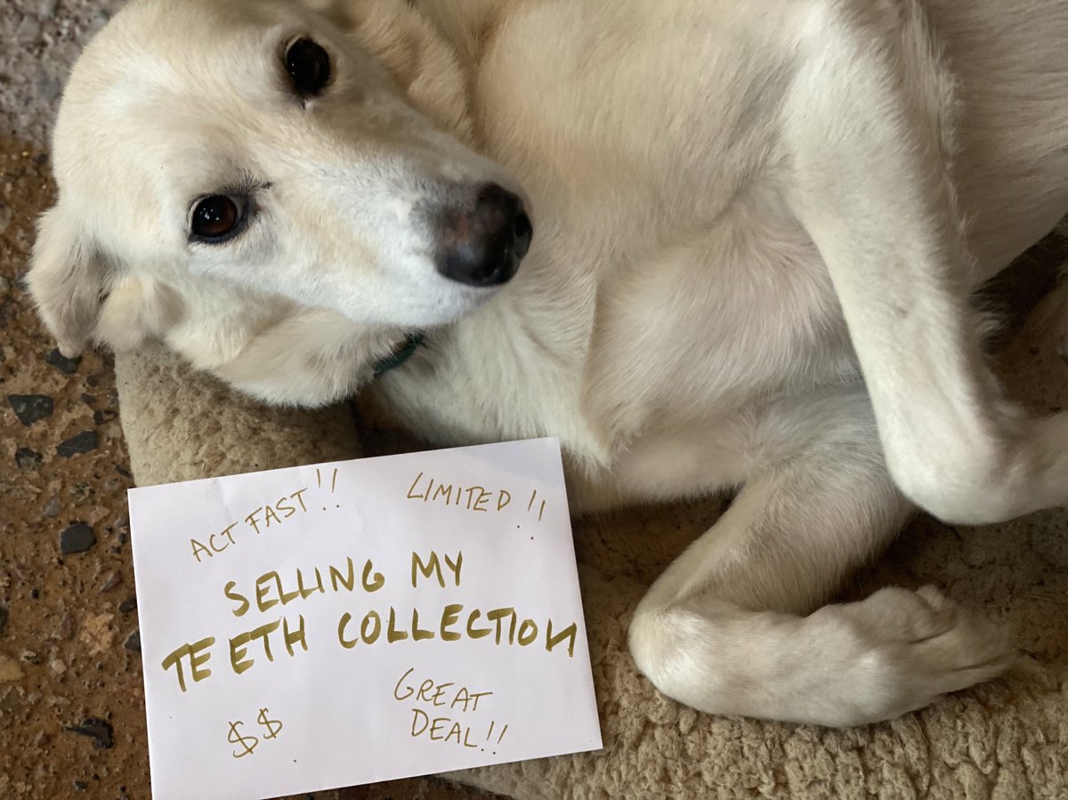 Blair Braverman tweet media