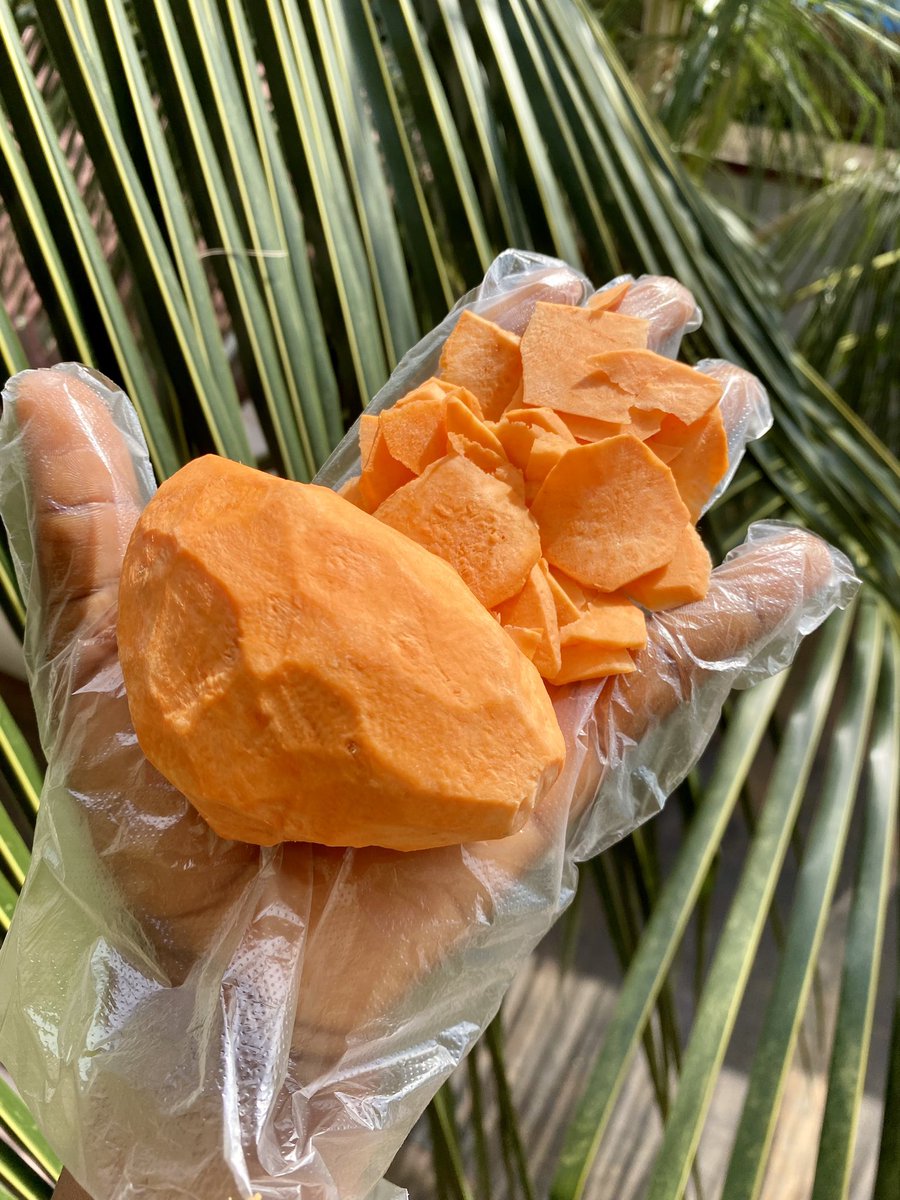 Finegirl_Farmer's tweet image. True definition of ‘one minute we are ordinary, next minute we are extraordinary’😹

#FinegirlFARMER 
#BeyondDelicious 

          BEFORE      ding🛎️       AFTER