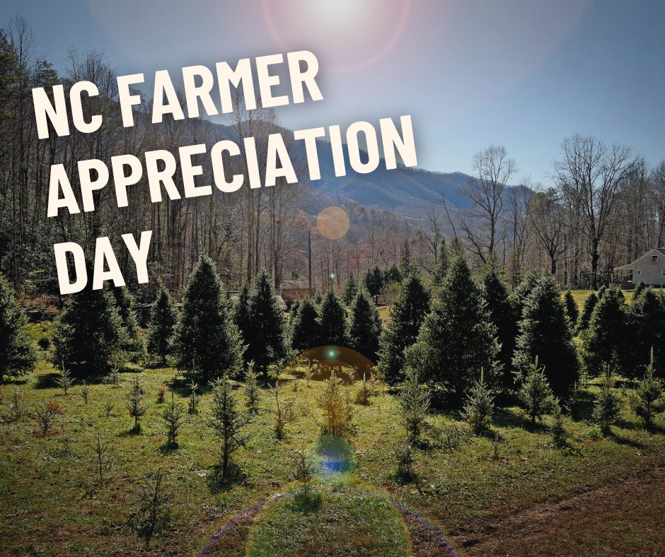 NC State Extension Forestry tweet media