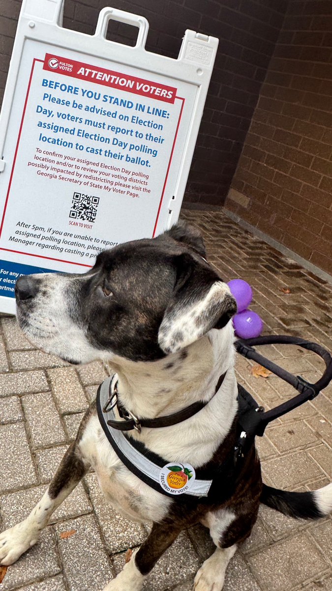 First time voter. Everyone cheered