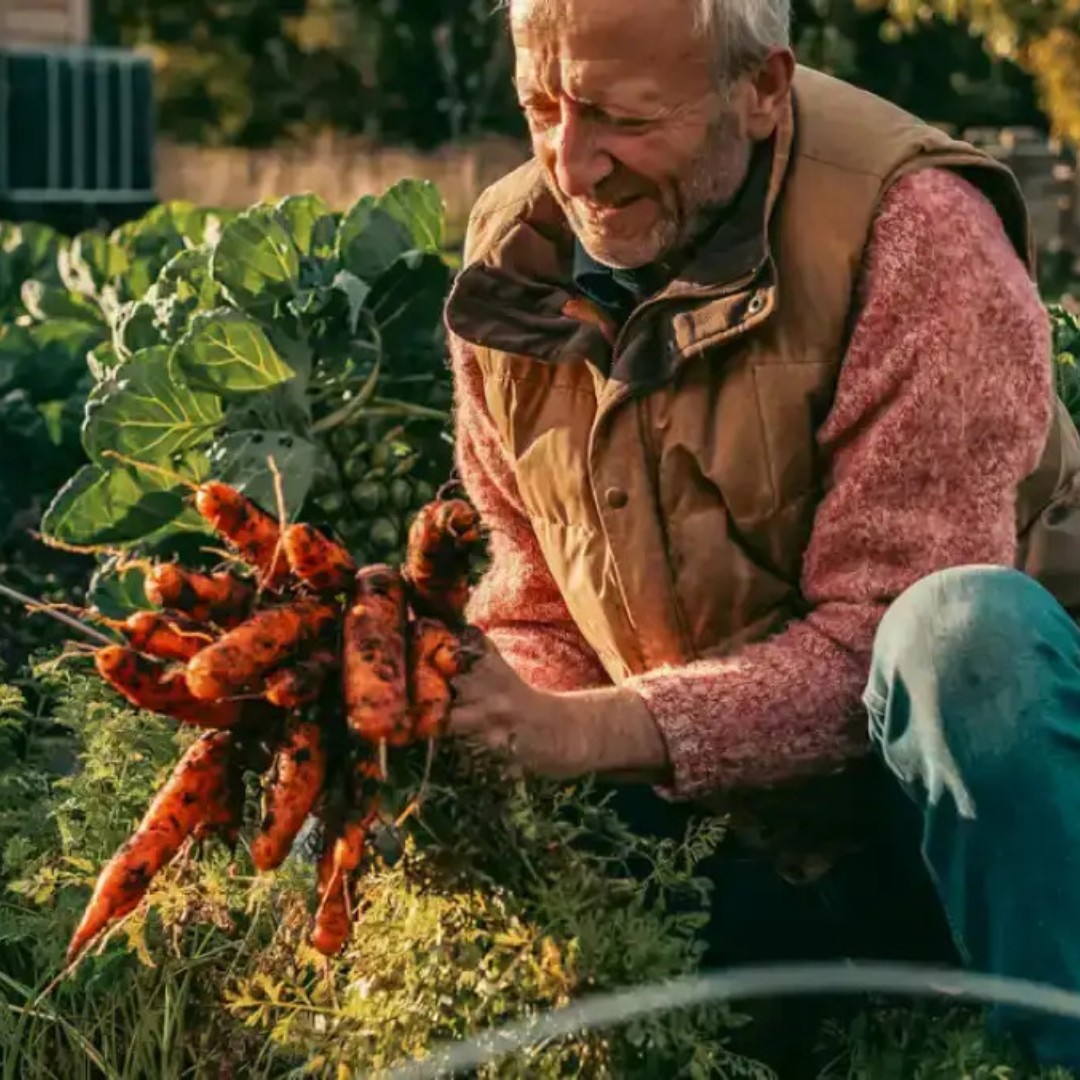 We've had an UNBELIEVABLE reaction to the latest episode of the GIY Food Matters Podcast - <a href="/nodigcharles/">Charles Dowding</a> telling <a href="/mickkellygrows/">Mick Kelly</a> how digging his garden is a total waste of time! 
Listen wherever you get your podcasts, and don’t forget to follow/subscribe 🌱 #GIY #foodmatters