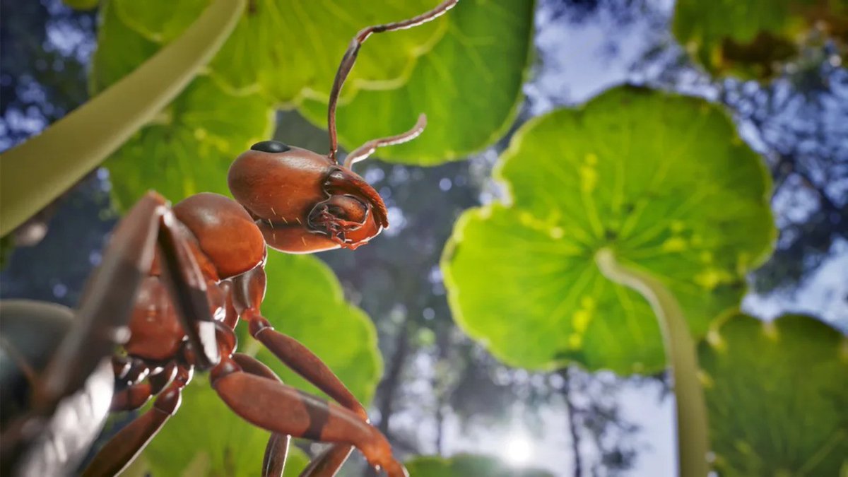 Ants Rts Game 'Empire of the Ants' RTS Game Launches November 7, 60fps on PS5 Pro ...