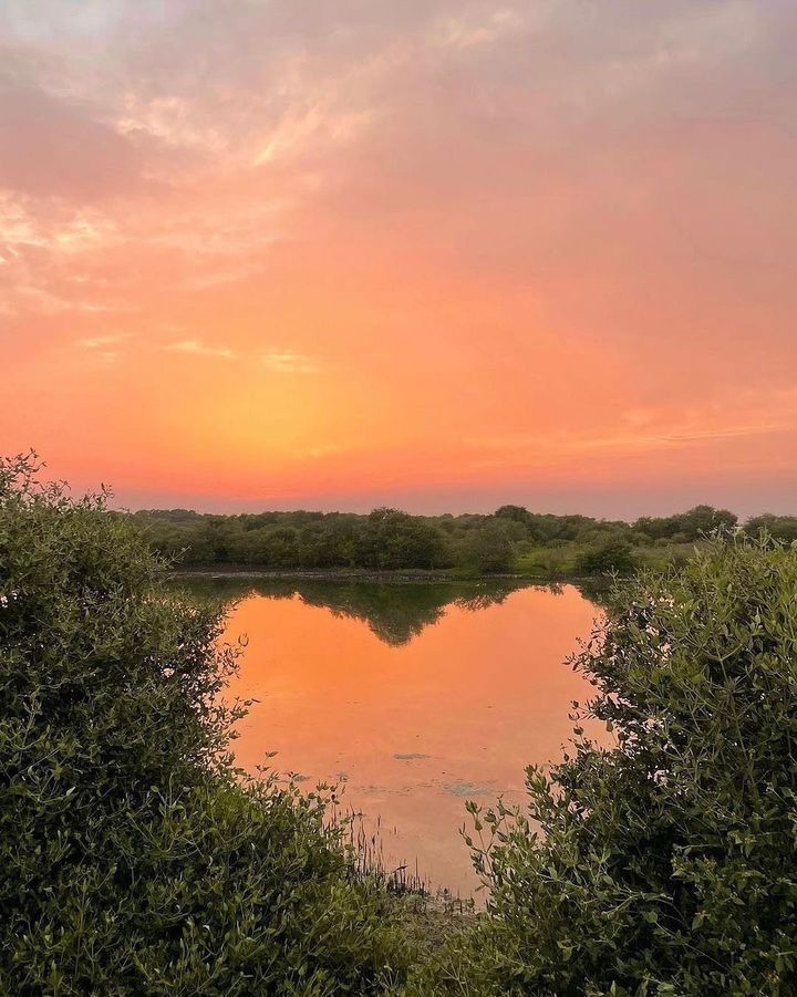 The way is not in the sky
The way is in the heart.

The Buddha