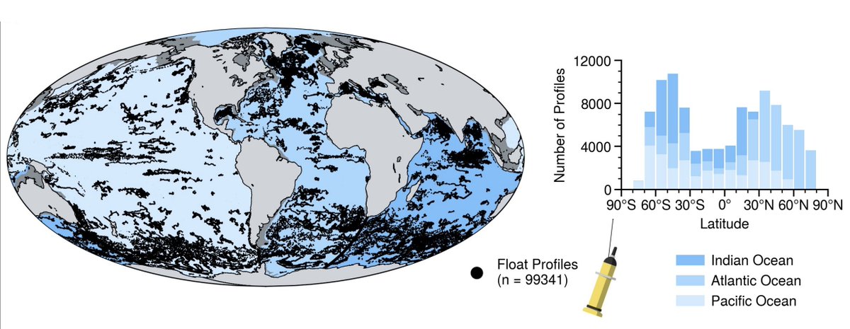 Using data from @bgc_argo—a network of autonomous floating units—researchers estimate the global stock of phytoplankton carbon biomass as approximately 314 teragrams, just ~0.06% of the biomass of the entire biosphere. In PNAS: ow.ly/5IEp50TZeUU