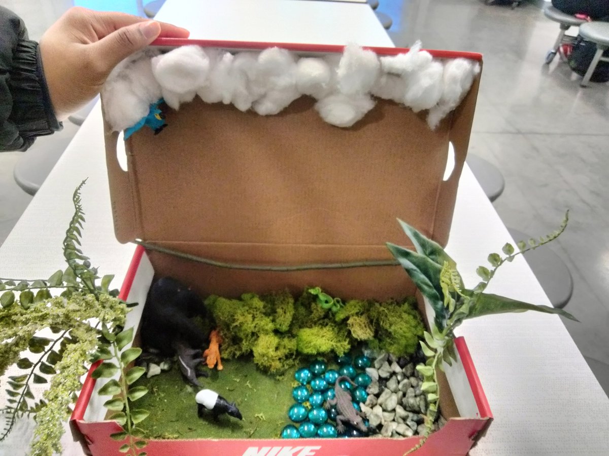 Hogan Prep tweet media