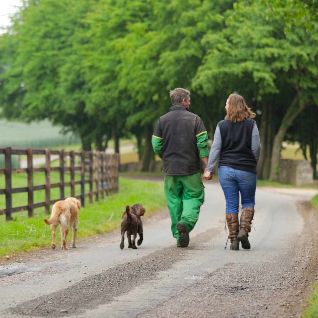 AHDB (@theahdb) on Twitter photo 💚If you’re feeling overwhelmed, stressed, or just need to talk, there is help specifically for farmers.
ahdb.org.uk/support-for-fa…
<a href="/FCNcharity/">The Farming Community Network</a>
<a href="/yanafarming/">YANA</a>
<a href="/dpjfoundation/">The DPJ Foundation</a>
<a href="/RABIcharity/">RABI - the farmers charity</a>
<a href="/AddingtonFund/">Addington Fund</a>
<a href="/yellowwelliesuk/">Farm Safety Foundation</a>
Text HAWKSTONE to 85258 for free support
<a href="/RealHawkstone/">Hawkstone</a> 💚If you’re feeling overwhelmed, stressed, or just need to talk, there is help specifically for farmers.
ahdb.org.uk/support-for-fa…
<a href="/FCNcharity/">The Farming Community Network</a>
<a href="/yanafarming/">YANA</a>
<a href="/dpjfoundation/">The DPJ Foundation</a>
<a href="/RABIcharity/">RABI - the farmers charity</a>
<a href="/AddingtonFund/">Addington Fund</a>
<a href="/yellowwelliesuk/">Farm Safety Foundation</a>
Text HAWKSTONE to 85258 for free support
<a href="/RealHawkstone/">Hawkstone</a>