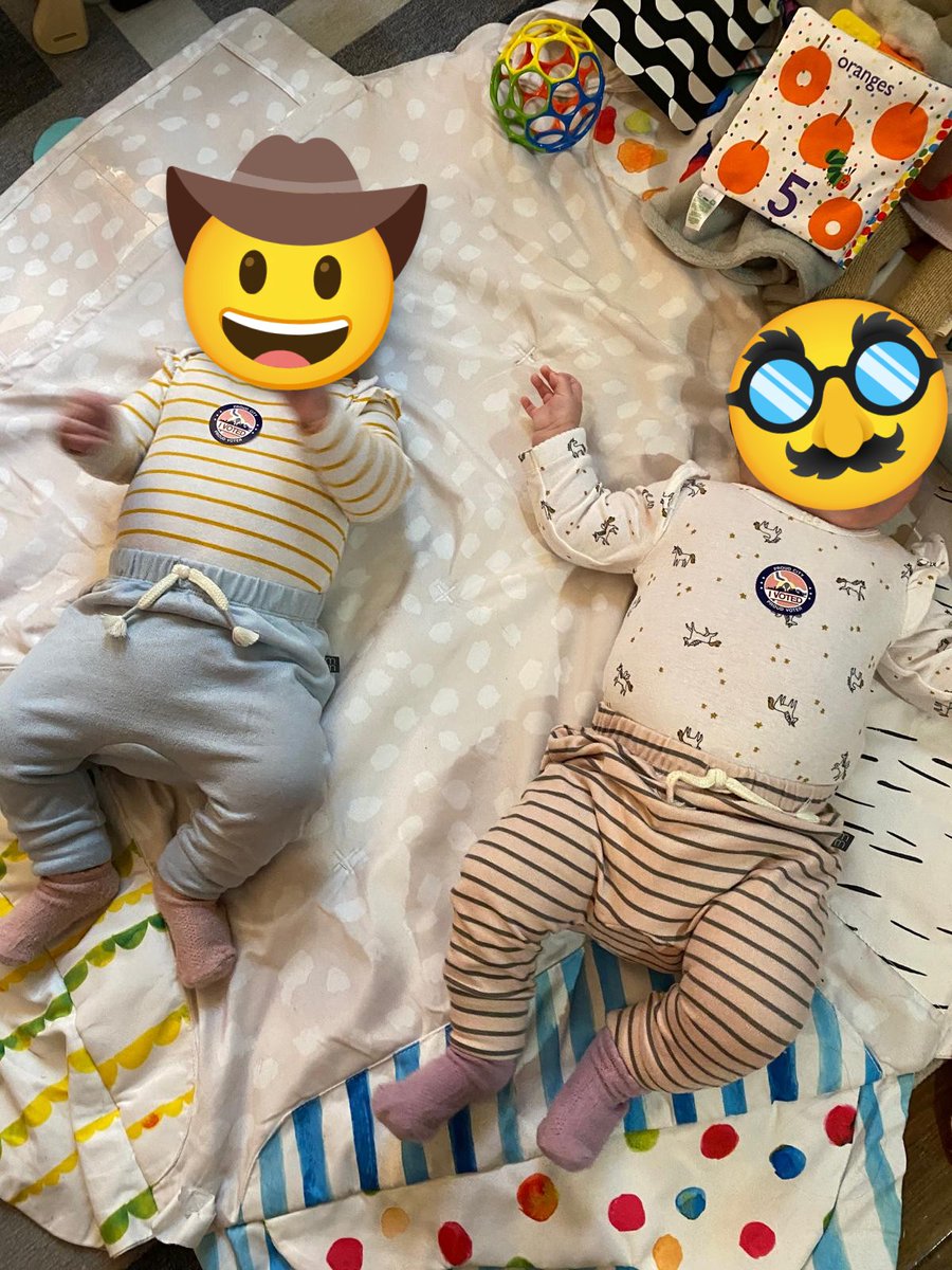 Miguel Faria e Castro tweet media