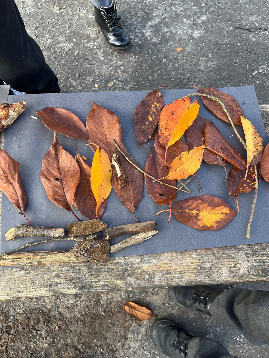 FintryPrimaryG63 tweet media