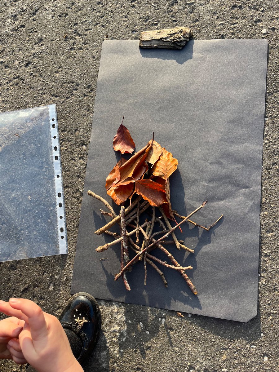 FintryPrimaryG63 tweet media