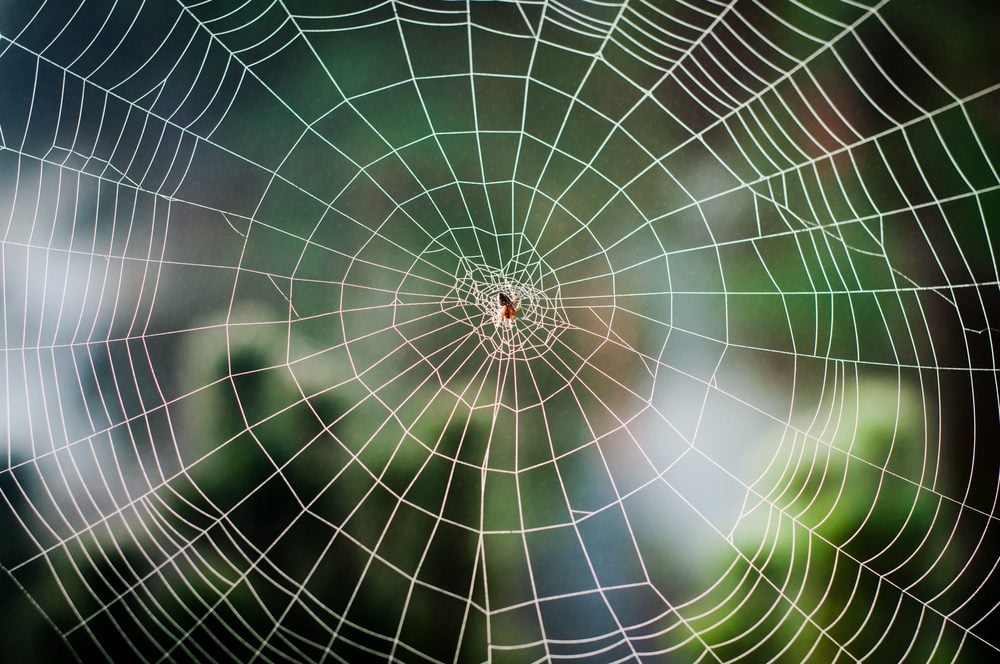 ActiveTechOrg's tweet image. Outsourcing our memory weakens it.
“We don’t constrain our
mental powers when we
store new long-term memories.
We strengthen them.
With each expansion of our
memory comes an
enlargement of our
intelligence.”
What The Internet is Doing to Our Brains, Nicholas Carr, 2010,…